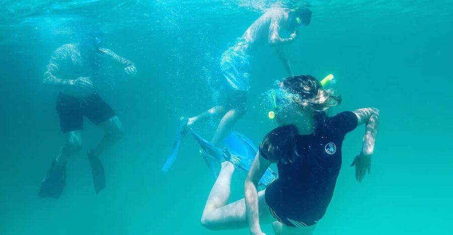 Destin: Snorkeling, Dolphins, and Crab Island - Dolphin watching in the Emerald Coast water