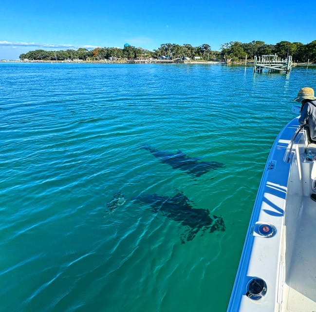 Destin: Snorkeling, Dolphins, and Crab Island - How the typical three-hour plan fits together