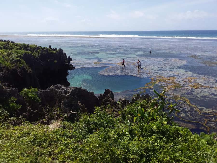 Diani: Snorkeling and Swimming at African Pool in Tiwi Beach - What the private format changes