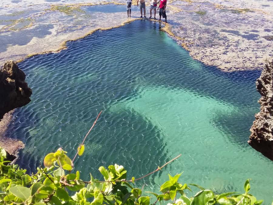 Diani: Snorkeling and Swimming at African Pool in Tiwi Beach - Is $35 good value for three hours?