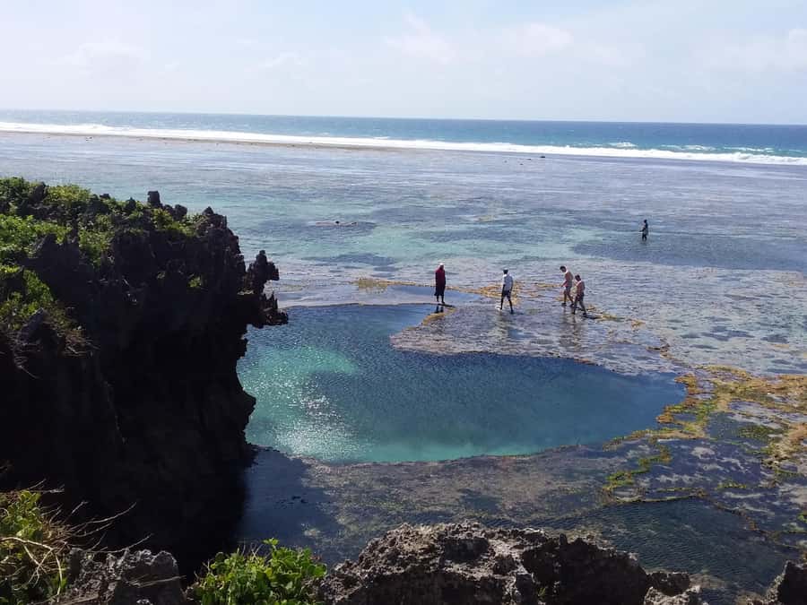 Diani: Snorkeling and Swimming at African Pool in Tiwi Beach - Booking, timing, and cancellation details