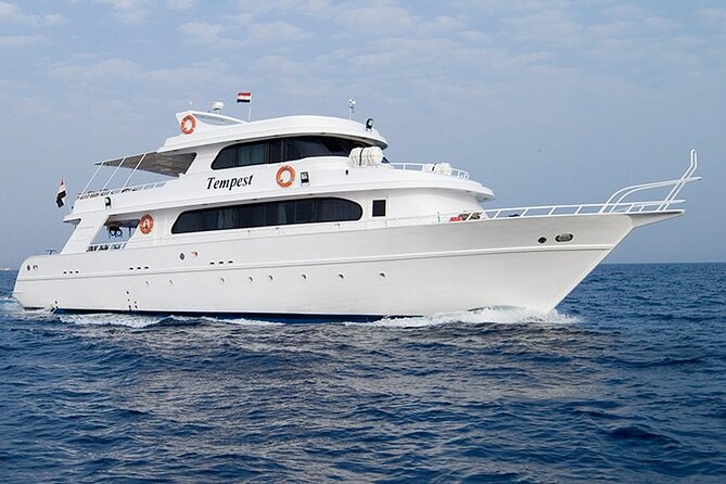 Diving And Snorkeling To Ras Mohamed And White Island By VIP Boat - A full day on the Red Sea for $50