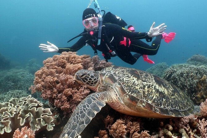 Diving And Snorkeling To Ras Mohamed And White Island By VIP Boat - Lunch, drinks, and time on deck