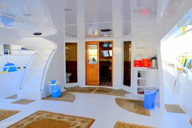 Diving And Snorkeling To Ras Mohamed And White Island By VIP Boat - Who should book this boat trip