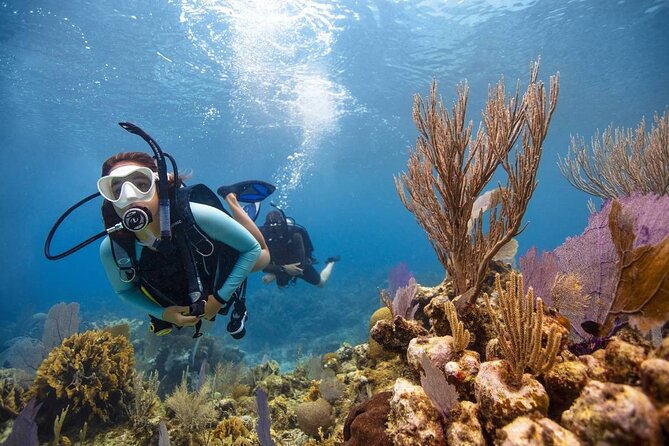 Diving And Snorkeling To Ras Mohamed And White Island By VIP Boat - Simple preparation for a better day