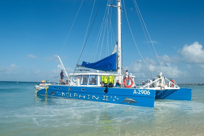 Dolphin Catamaran Snorkel and Sail with Open Bar - Who should book The Dolphin?