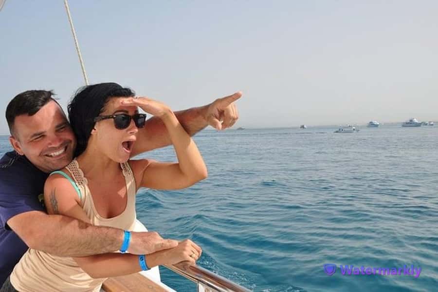 Dolphin house snorkeling trip - Setting out from Hurghada for an eight-hour sea day