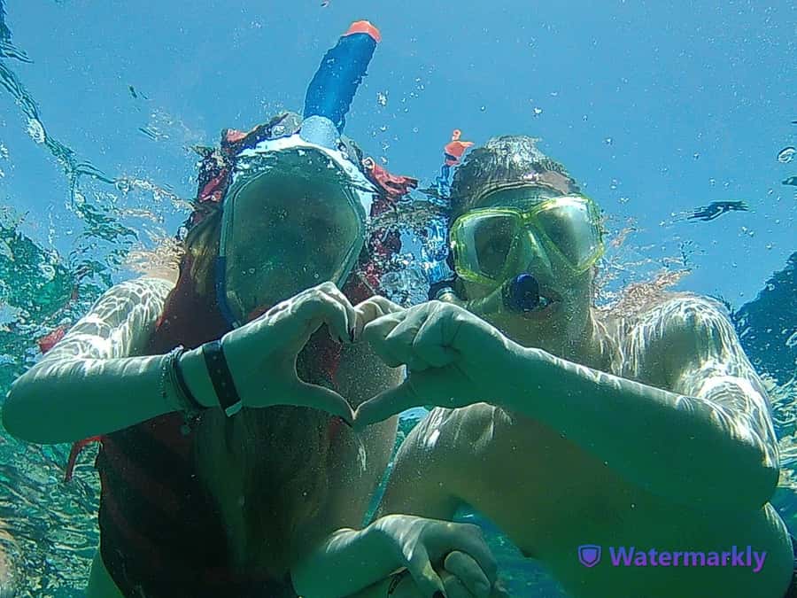 Dolphin house snorkeling trip - Should you book the Dolphin House snorkeling trip?