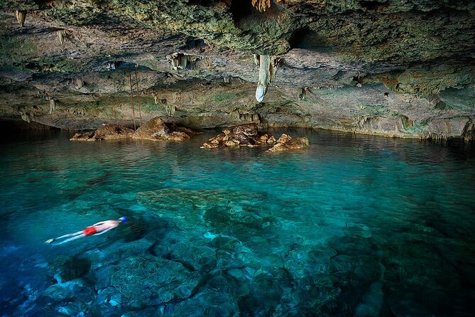 Dolphin, Sea Cave, Captain Cook, Kealakekua Bay Reef Snorkeling - Key points to know before you book