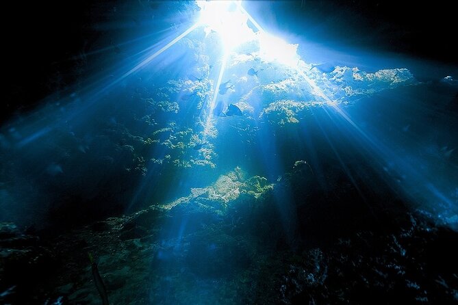 Dolphin, Sea Cave, Captain Cook, Kealakekua Bay Reef Snorkeling - Sea caves, lava tubes, and the limits of the promise