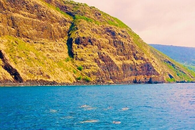 Dolphin, Sea Cave & Captain Cook Snorkel Combo in Kealakekua Bay - Who should choose this Kealakekua Bay trip?