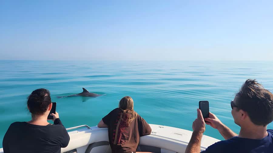 Dolphin & Snorkeling Key West - Searching for dolphins in the wild