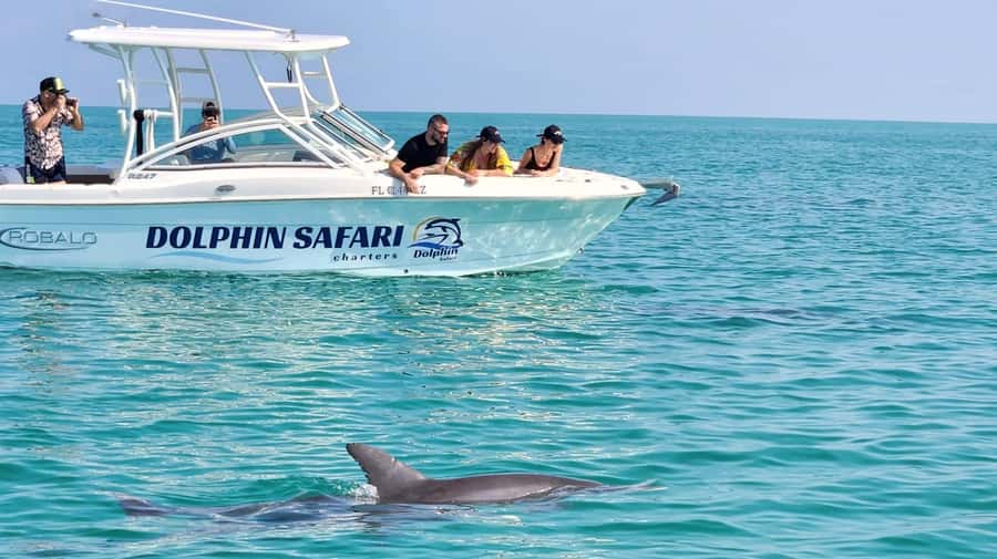 Dolphin & Snorkeling Key West - The sandbar finish
