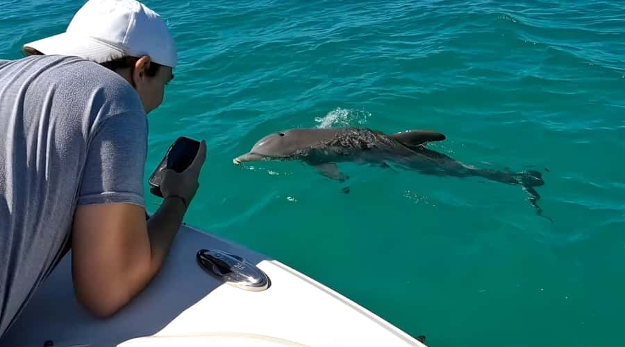 Dolphin & Snorkeling Key West - Who will enjoy this trip most