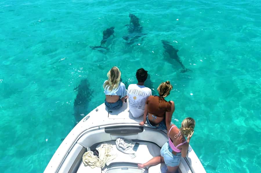 Dolphin & Snorkeling Key West - Snorkeling around Key West