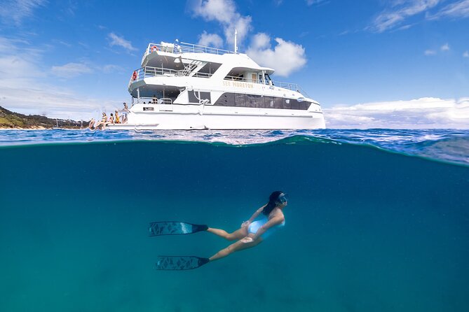 Dolphin & Tangalooma Wrecks Snorkel Cruise & Lunch - Brisbane - The Tangalooma Wrecks are the star of the day
