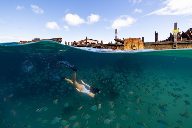 Dolphin & Tangalooma Wrecks Snorkel Cruise & Lunch - Brisbane - Who will enjoy this Moreton Island day trip?