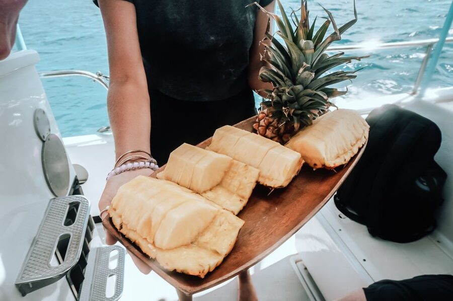 Dolphin Watch Snorkel and BBQ in Kona, Big Island - Two boat-only snorkel sites