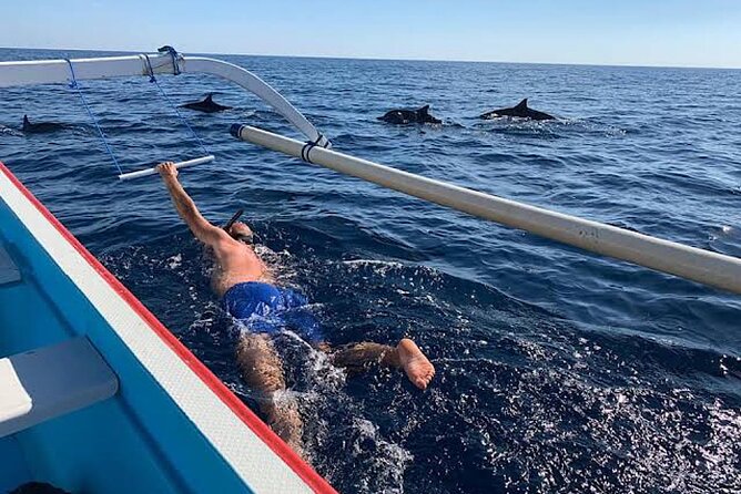 Dolphin Watching Tour, Swimming with Dolphins and Snorkeling - Safety, comfort, and practical limits