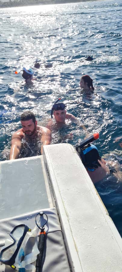 Dolphins: Private, Snorkel, CrystalRock, ileoBenitiers,lunch - Key Points