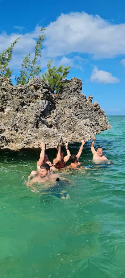Dolphins: Private, Snorkel, CrystalRock, ileoBenitiers,lunch - Dolphin Watching and Swimming Near Tamarin