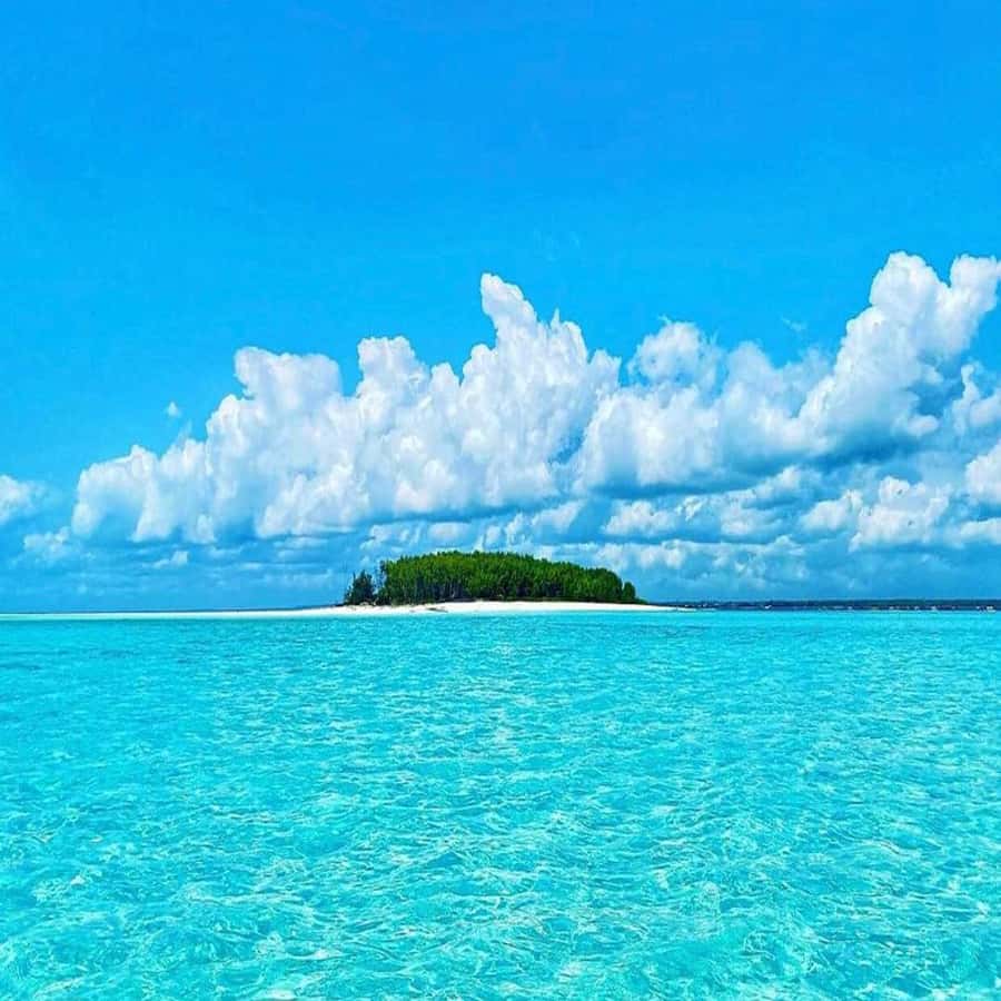 Dolphins & Snorkeling Zanzibar: Mnemba Island Tour - Two hours above Mnemba’s coral reef