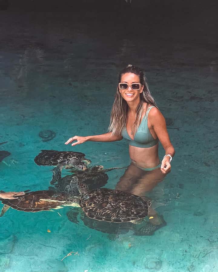 Dolphins tour + mnemba island snorkeling + salaam turles - What the $150 Mnemba trip actually offers
