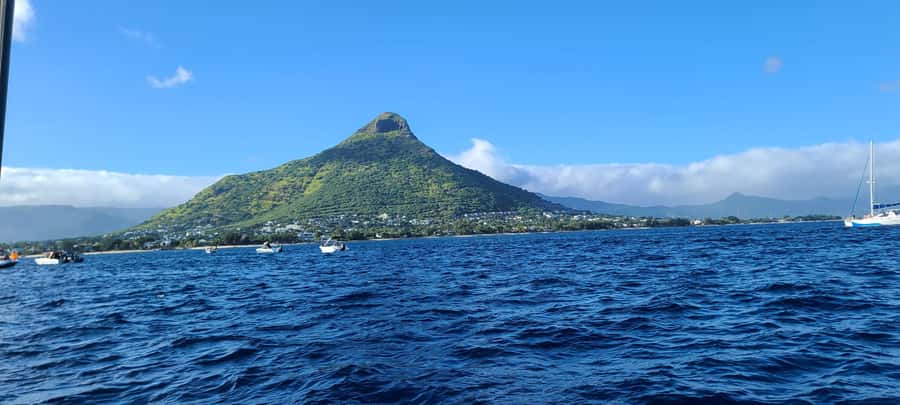 Dolphins & Whales, Private Tour Snorkeling - Looking for spinner dolphins