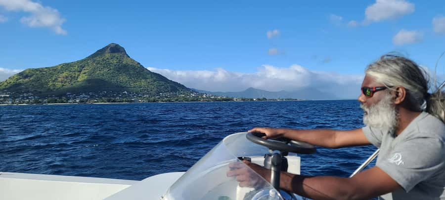Dolphins & Whales, Private Tour Snorkeling - The guide can shape the whole experience