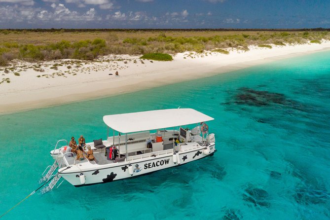 Double Dip Snorkel Trip - Why this Bonaire snorkel trip feels different