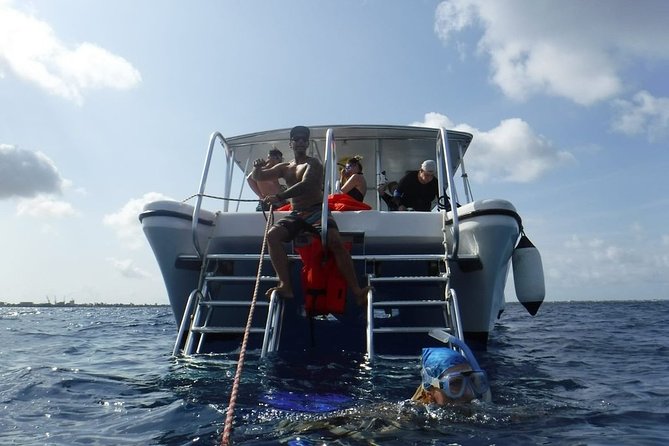 Double Dip Snorkel Trip - First stop: drift with the current