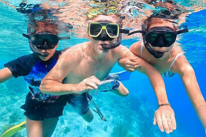 Double Dip Snorkel Trip - Food, drinks, and the small details that matter