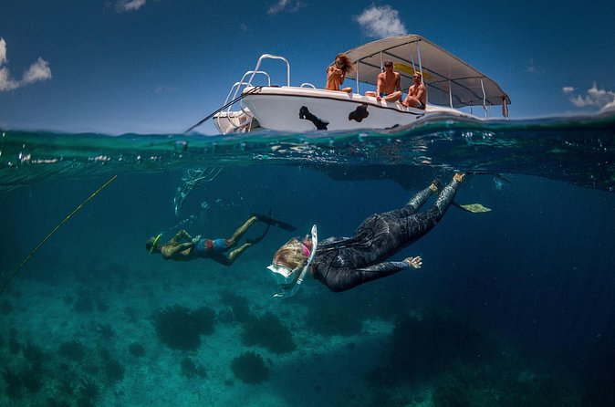 Double Dip Snorkel Trip - Who should book the Double Dip Snorkel Trip