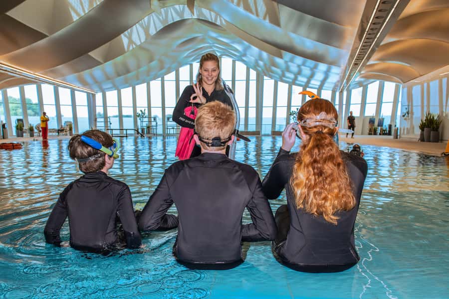 Dubai: Snorkeling at Deep Dive World's Deepest Pool - What you will see beneath the surface