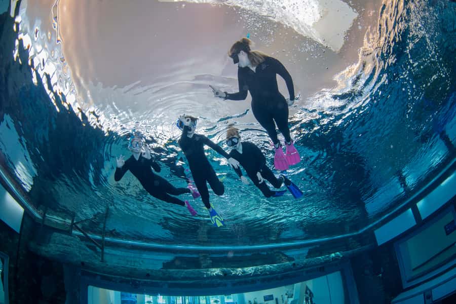 Dubai: Snorkeling at Deep Dive World's Deepest Pool - How the one-hour session works