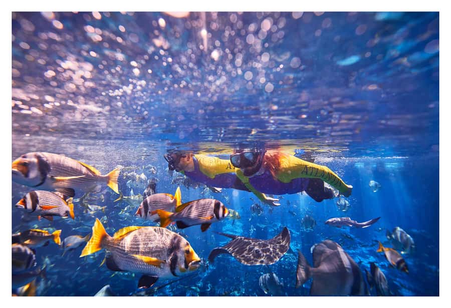 Dubai: The Lost Chambers Aquarium Snorkeling Experience - Entering The Lost Chambers Aquarium