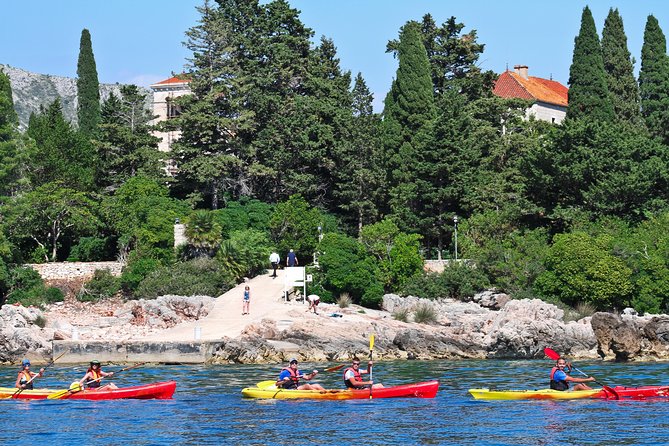 Dubrovnik: Sea Kayaking & Snorkeling Tour - Betina Cave and the Swim Stop