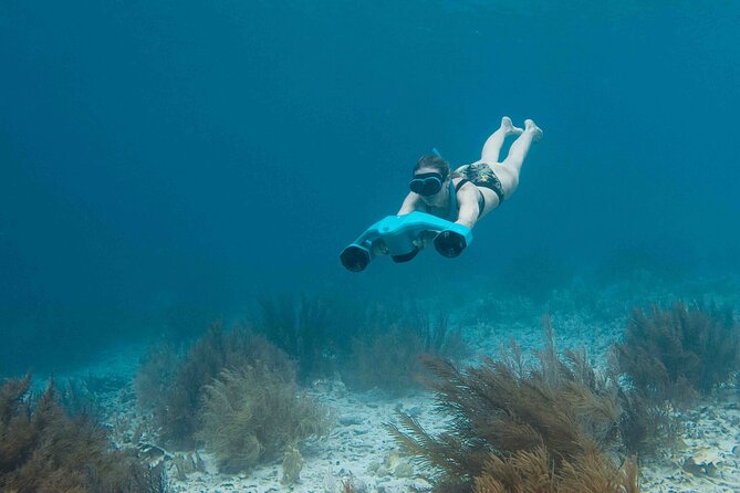 E-Snorkeling tour in Bonaire with easy Sea Scooters - Who should book this experience?