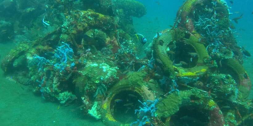 East Bali: Snorkeling Day Trip to Amed - Amed Is Worth the Road for Its Reef