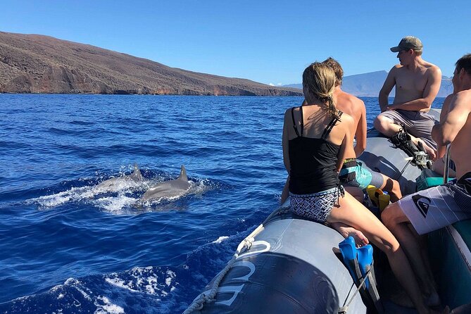 Eco-Raft Tour: Maui-Lanai Snorkel / Dolphin Watch (Semi-Private) - Who should book this Maui raft tour?