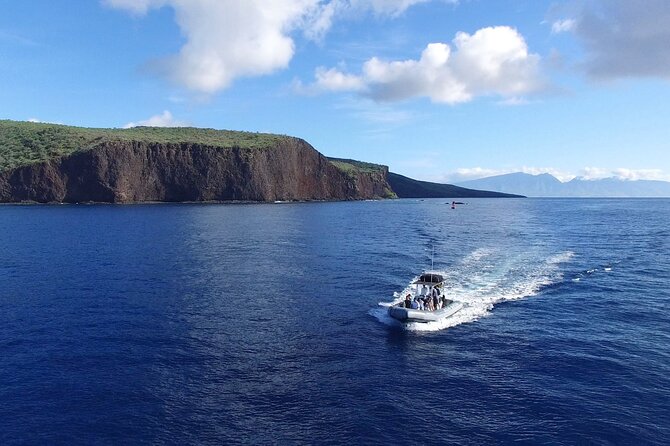 Eco-Raft Tour: Maui-Lanai Snorkel / Dolphin Watch (Semi-Private) - Dolphins, turtles, whales, and lucky extras
