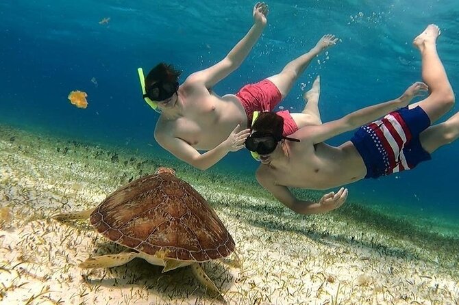 El Cielo Cozumel Snorkel tour by Catamaran - Why El Cielo makes this Cozumel trip different