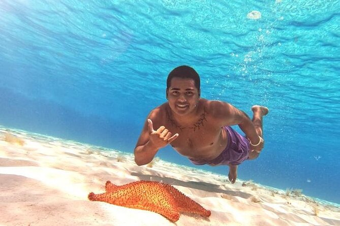 El Cielo Cozumel Snorkel tour by Catamaran - Starting at Marina Cozumel ASIPONA