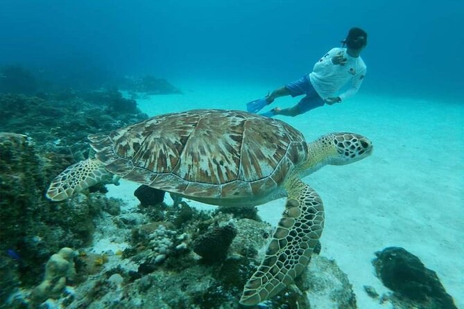 El Cielo Cozumel Snorkel tour by Catamaran - Ceviche, drinks, and what to eat before boarding