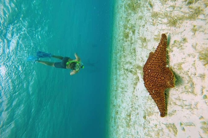 El Cielo Cozumel Snorkel tour by Catamaran - Columbia Reef and Turtle Bay
