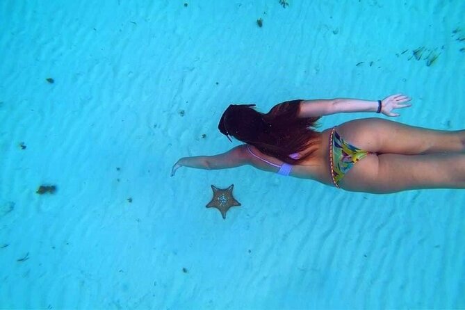 El Cielo Cozumel Snorkeling trip by Catamaran - What the four-hour schedule feels like
