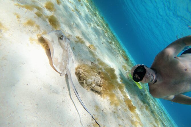 El Cielo Cozumel Snorkeling trip by Catamaran - Drinks, ceviche, and the beach stop