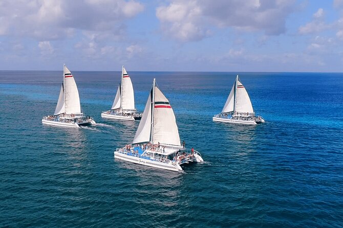 El Cielo, Palancar Snorkel & Beach Party Experience - Who will enjoy this tour most