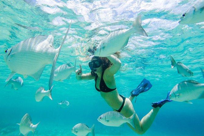 El Cielo Snorkel by Private Boat - A private start at Tortugas Snorkel Center