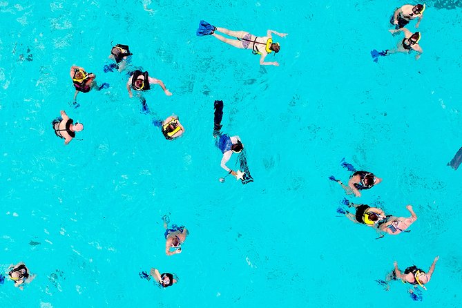 El Cielo Snorkel by Private Boat - Paradise Reef and the marine life question